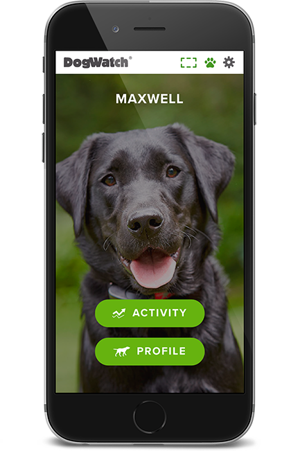 DogWatch of Central Maine, Lewiston, Maine | SmartFence WebApp Image