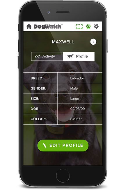 DogWatch of Central Maine, Lewiston, Maine | SmartFence WebApp Image