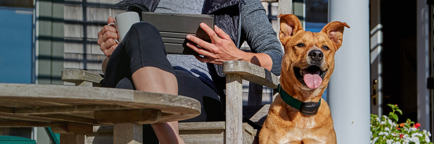 DogWatch of Central Maine, Lewiston, Maine | ProFence Slider Image